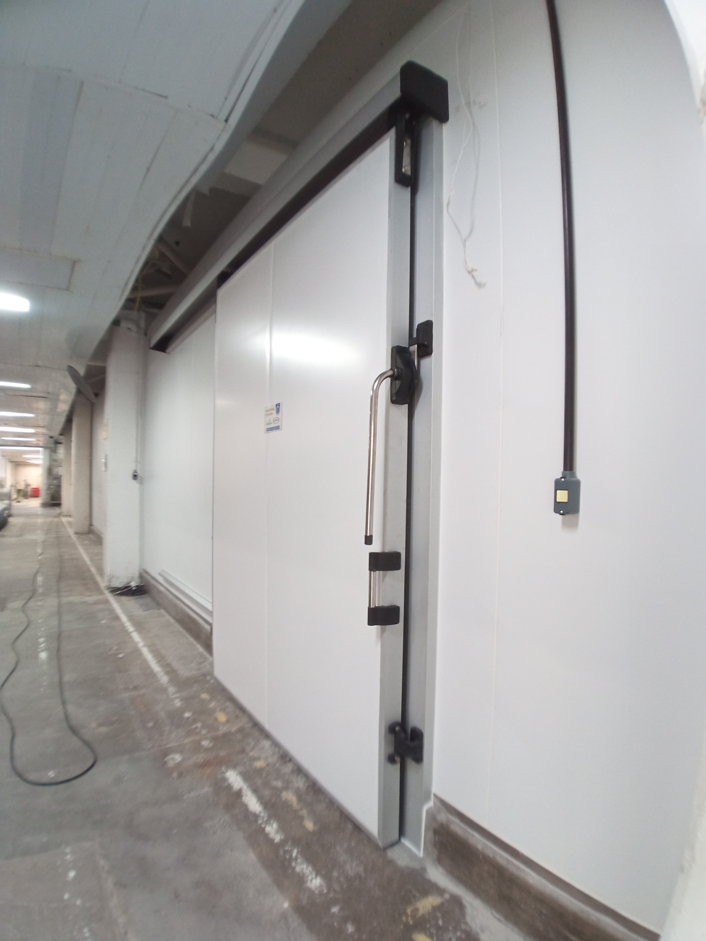 Câmara De Refrigeração Para Peixes Frescos??